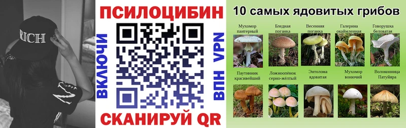 Псилоцибиновые грибы мицелий  купить наркотик  Козельск 